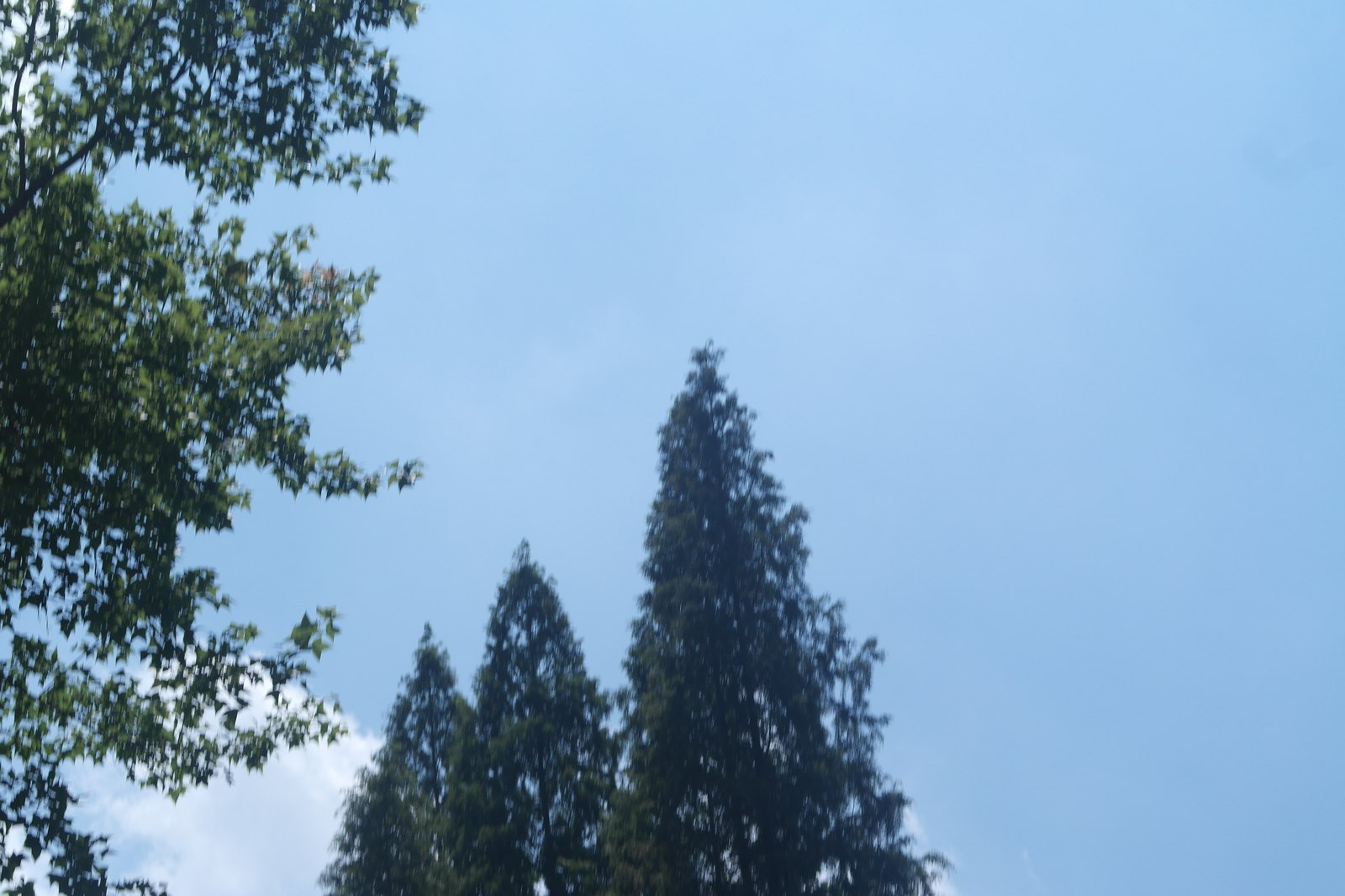 校园天空